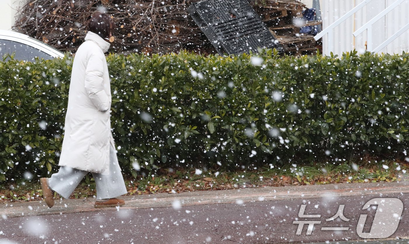 본문 이미지 - 올겨울 들어 가장 추운 날씨를 보이고 있는 9일 오후 제주시 노형동에 눈이 내리고 있다. 2025.1.9/뉴스1 ⓒ News1 오현지 기자