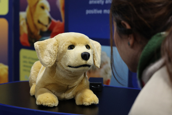 '반려로봇' KS 품질인증 받는다…소비자 안전·신뢰 강화
