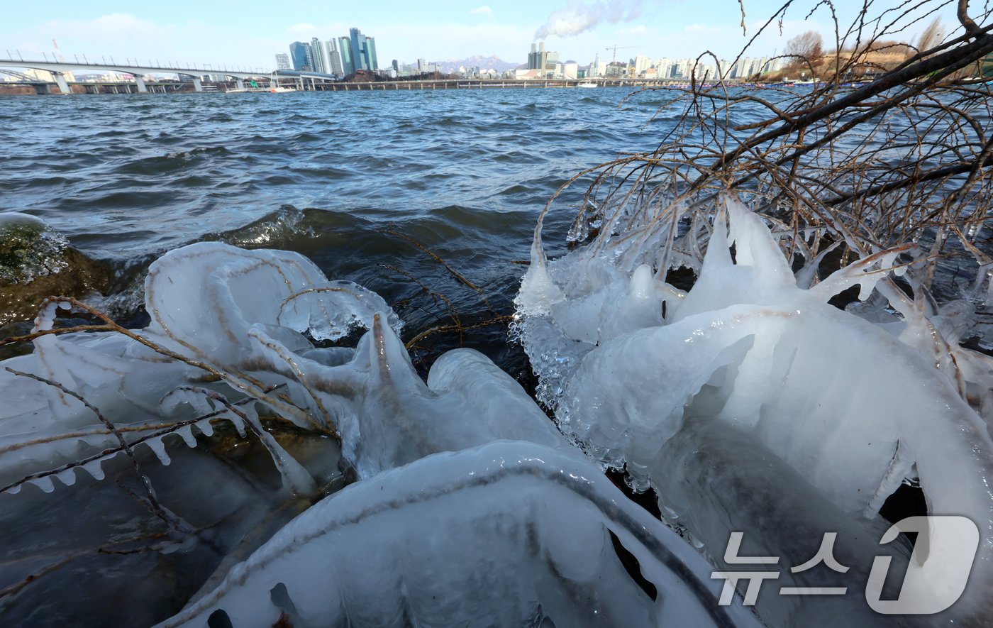 본문 이미지 - 올 겨울 최강 한파를 보여준 9일 서울 여의도 한강변에서 고드름이 열려 있다. 2024.1.9/뉴스1 ⓒ News1 김명섭 기자