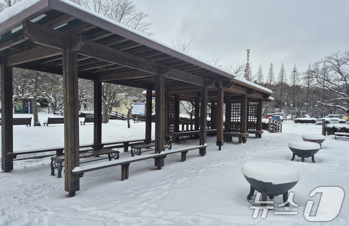 (군산=뉴스1) 강교현 기자 = 전북지역에 대설주의보가 발효된 9일 전북자치도 군산시 은파호수공원에 눈이 쌓여 있다. 2025.1.9/뉴스1