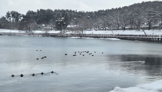 [오늘의 날씨]전북(10일, 금)…최대 15㎝ 눈 더 내려