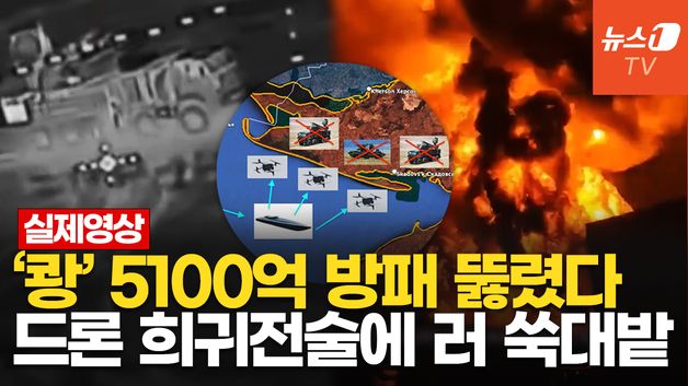 [영상] 하룻밤에 5100억어치 무기 증발…'新 전술' 우크라 드론, 러 석유시설 타격