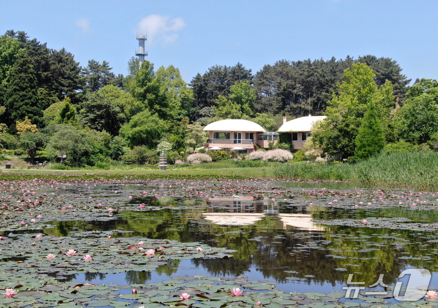 본문 이미지 - 천리포수목원 전경(태안군 제공. 재판매 및 DB금지)2025.10.1/뉴스1