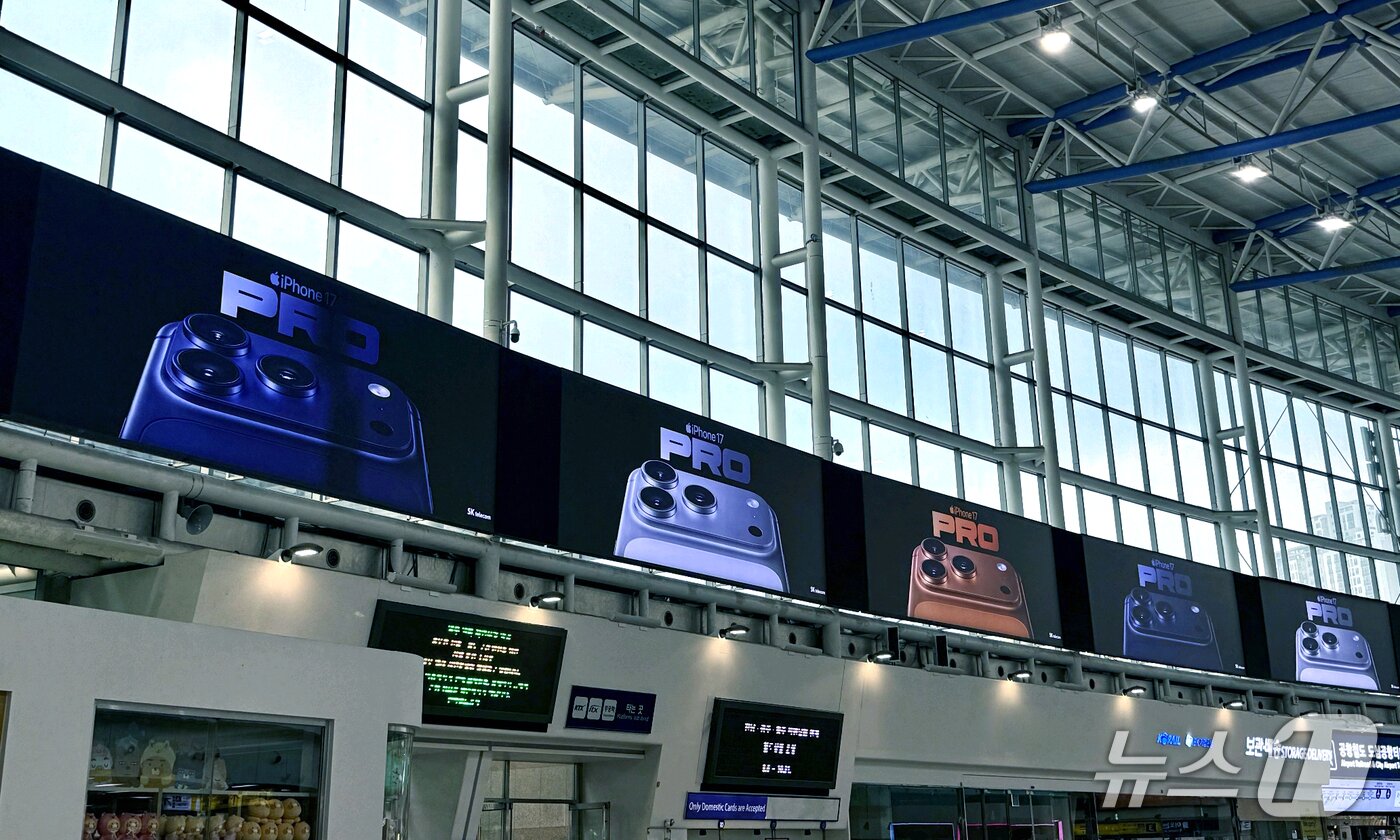 본문 이미지 - &#40;독자 제공. 재판매 및 DB금지&#41;/뉴스1