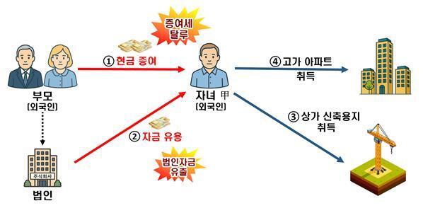 본문 이미지 - 외국인이 국내 아파트와 토지를 취득하면서 증여세·법인세를 탈루한 사례&#40;국세청 제공&#41;. 2025.10.1/뉴스1