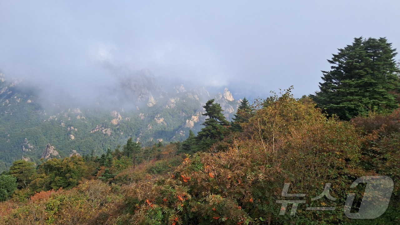 (속초=뉴스1) 윤왕근 기자 = 설악산 고지대를 중심으로 가을 단풍이 시작됐다. 지난 9월 30일 설악산국립공원 중청대피소와 소청봉에서 바라본 설악산의 산림의 푸름이 점점 알록달록 …