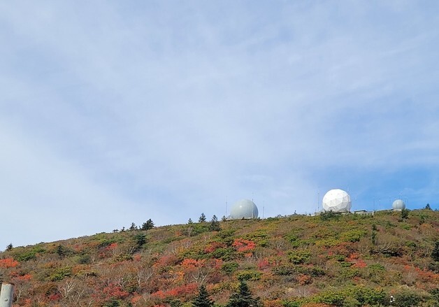 설악산 고지대는 벌써 가을