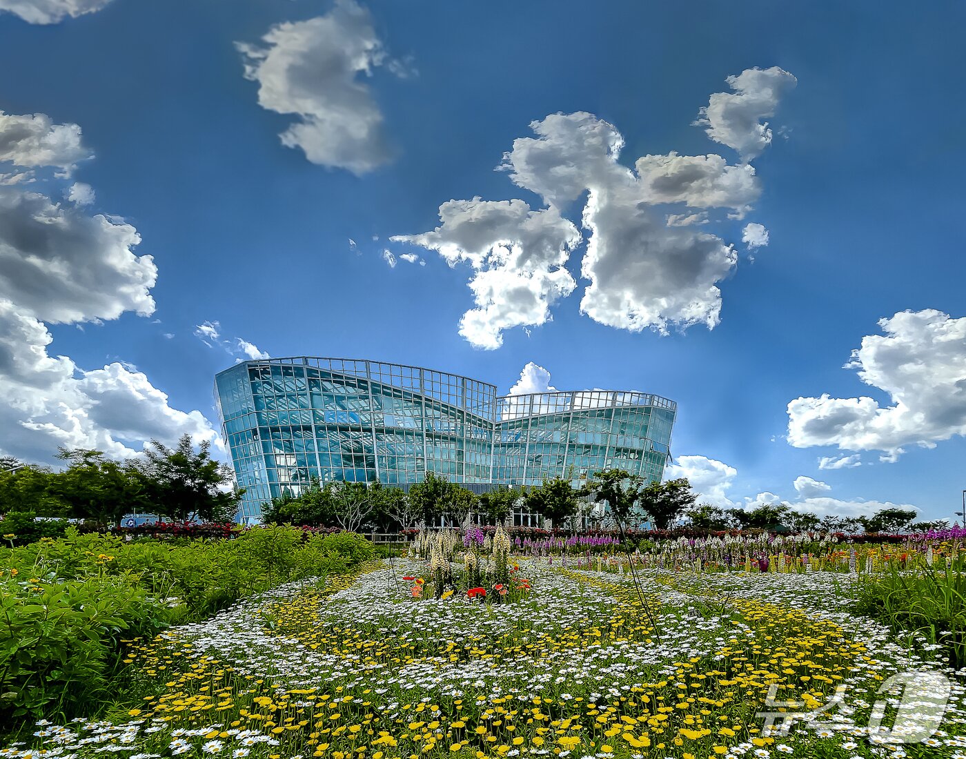 본문 이미지 - 거창 창포원&#40;거창군 제공. 재판매 및 DB금지&#41;.