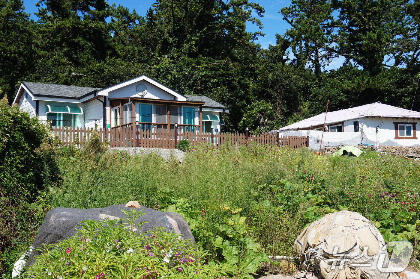 본문 이미지 - 김옥심 할머니가 쑥 팔아 지은 &#39;그림 같은 집&#39;. 오른쪽 주택은 예전에 살던 집이다. 2025.10.3/뉴스1 ⓒ News1 조영석 기자 