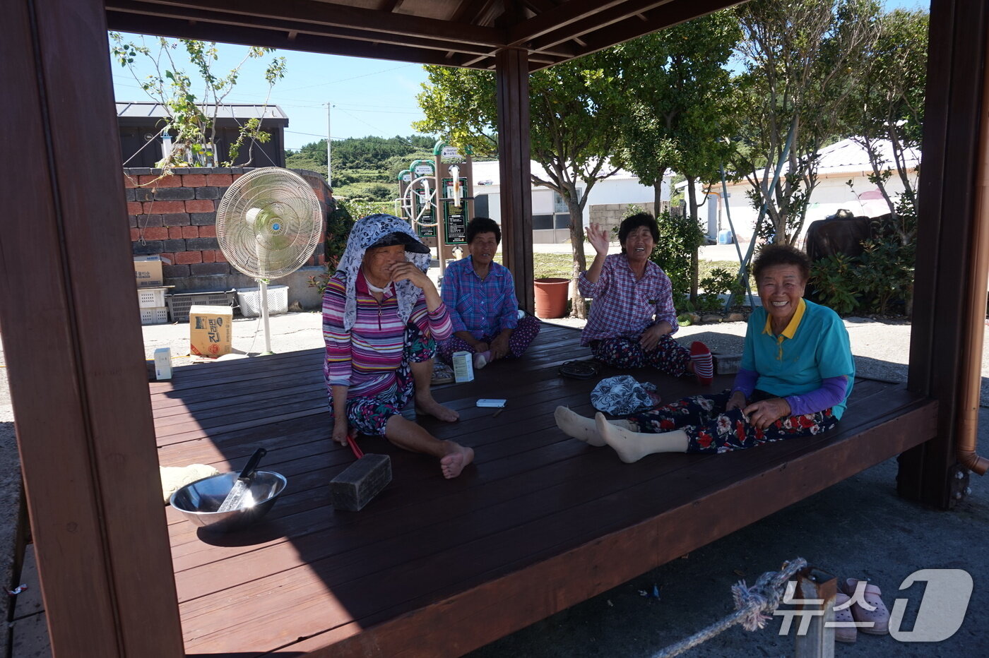 본문 이미지 - 주민들이 마을 정자에 모여 &#39;잘나가던 시절의 소마도&#39; 얘기로 웃음꽃을 피우고 있다. 2025.10.3/뉴스1 ⓒ News1 조영석 기자 