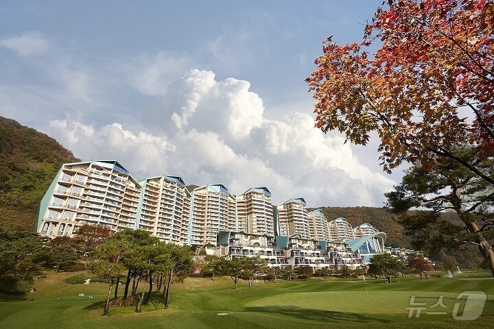 본문 이미지 - 소노펠리체 비발디파크 가을&#40;소노인터내셔널 제공&#41; ⓒ News1 