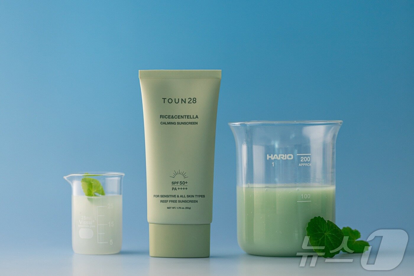 본문 이미지 - 병풀 제품 &#40;전남도 제공. 재판매 및 DB금지&#41; /뉴스1 