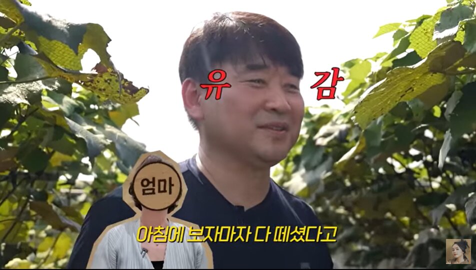 본문 이미지 - &#39;자유부인 한가인&#39; 방송화면 캡처