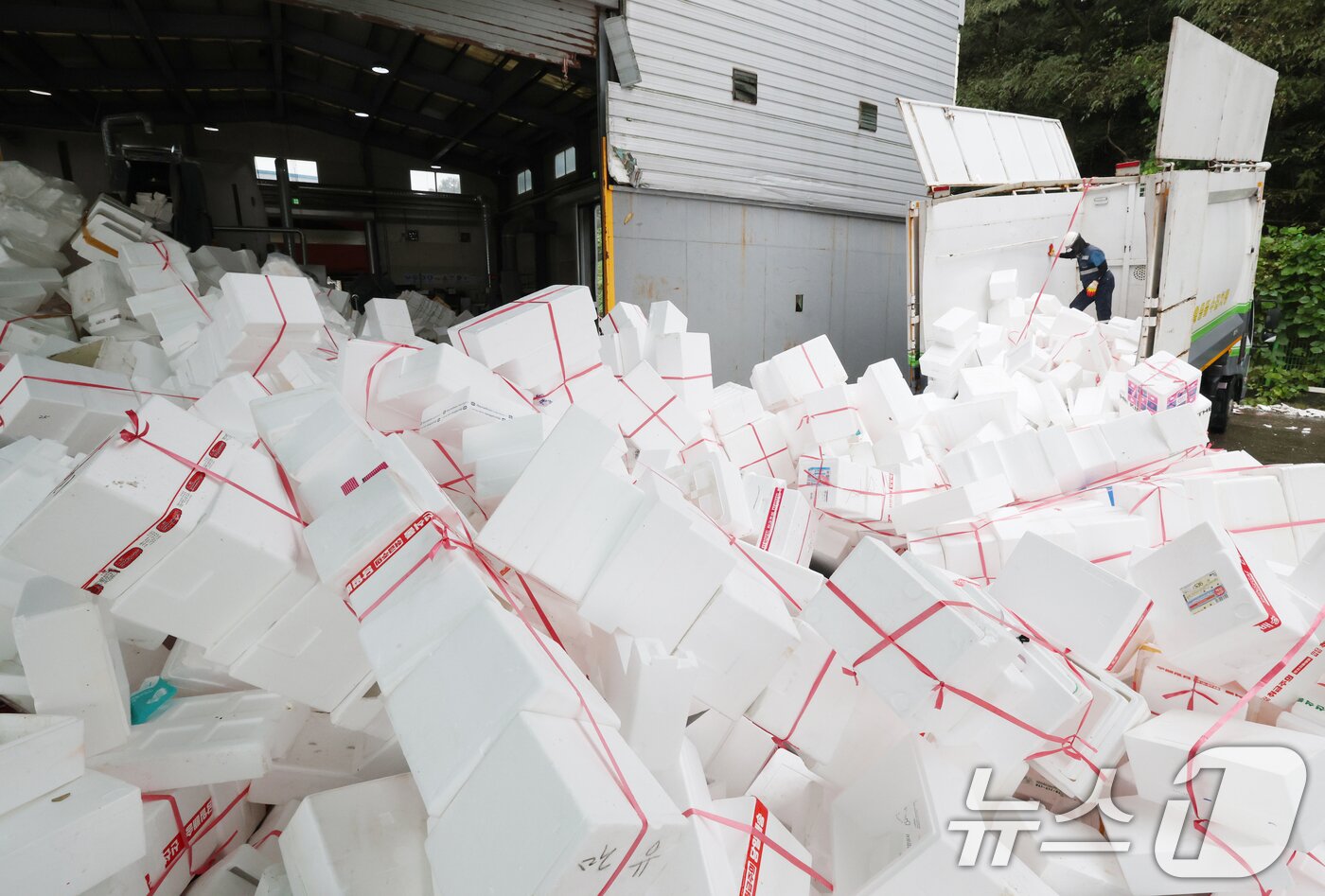 본문 이미지 - 추석 연휴가 끝난 10일 경기 용인시 처인구 이동읍공공재활용센터에서 관계자들이 스티로폼 분류 작업을 하고 있다. 2025.10.10/뉴스1 ⓒ News1 김영운 기자