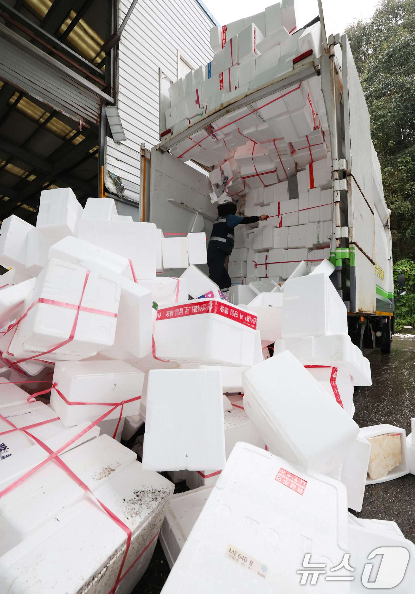(용인=뉴스1) 김영운 기자 = 추석 연휴가 끝난 10일 경기 용인시 처인구 이동읍공공재활용센터에서 관계자들이 스티로폼 분류 작업을 하고 있다. 2025.10.10/뉴스1