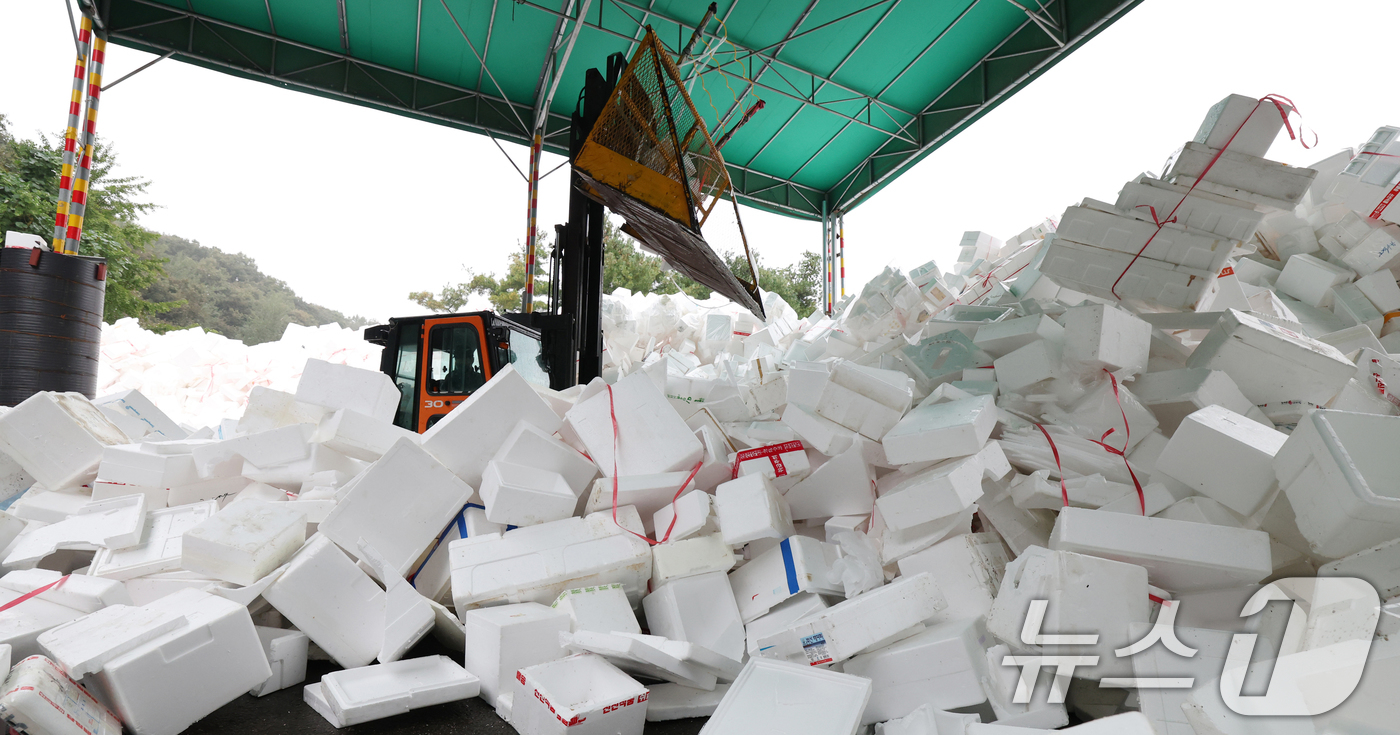 (용인=뉴스1) 김영운 기자 = 추석 연휴가 끝난 10일 경기 용인시 처인구 이동읍공공재활용센터에서 관계자들이 스티로폼 분류 작업을 하고 있다. 2025.10.10/뉴스1