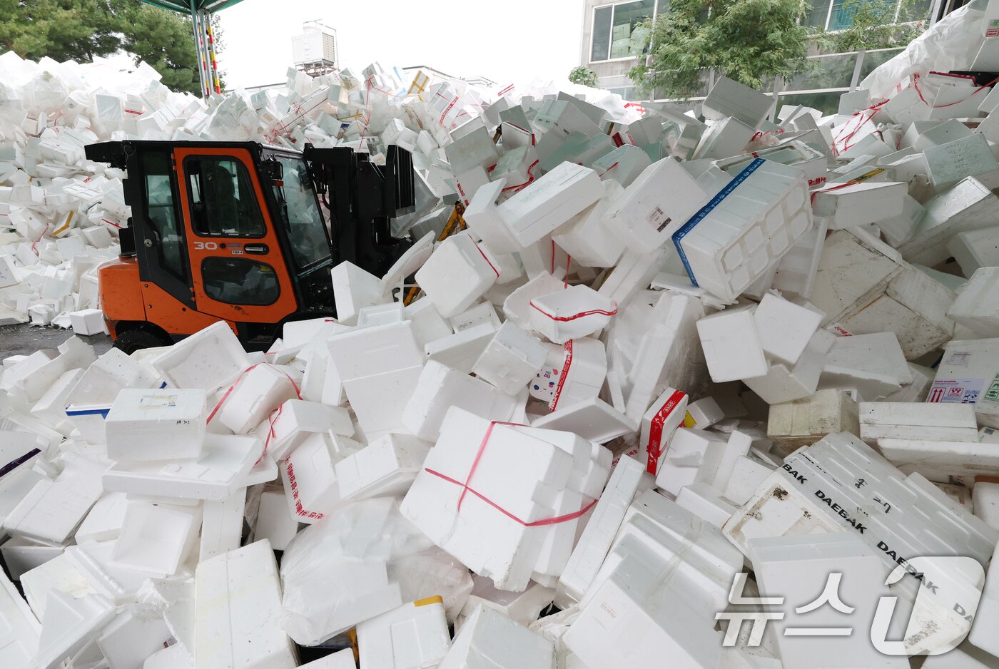 본문 이미지 - 추석 연휴가 끝난 10일 경기 용인시 처인구 이동읍공공재활용센터에서 관계자들이 스티로폼 분류 작업을 하고 있다. 2025.10.10/뉴스1 ⓒ News1 김영운 기자