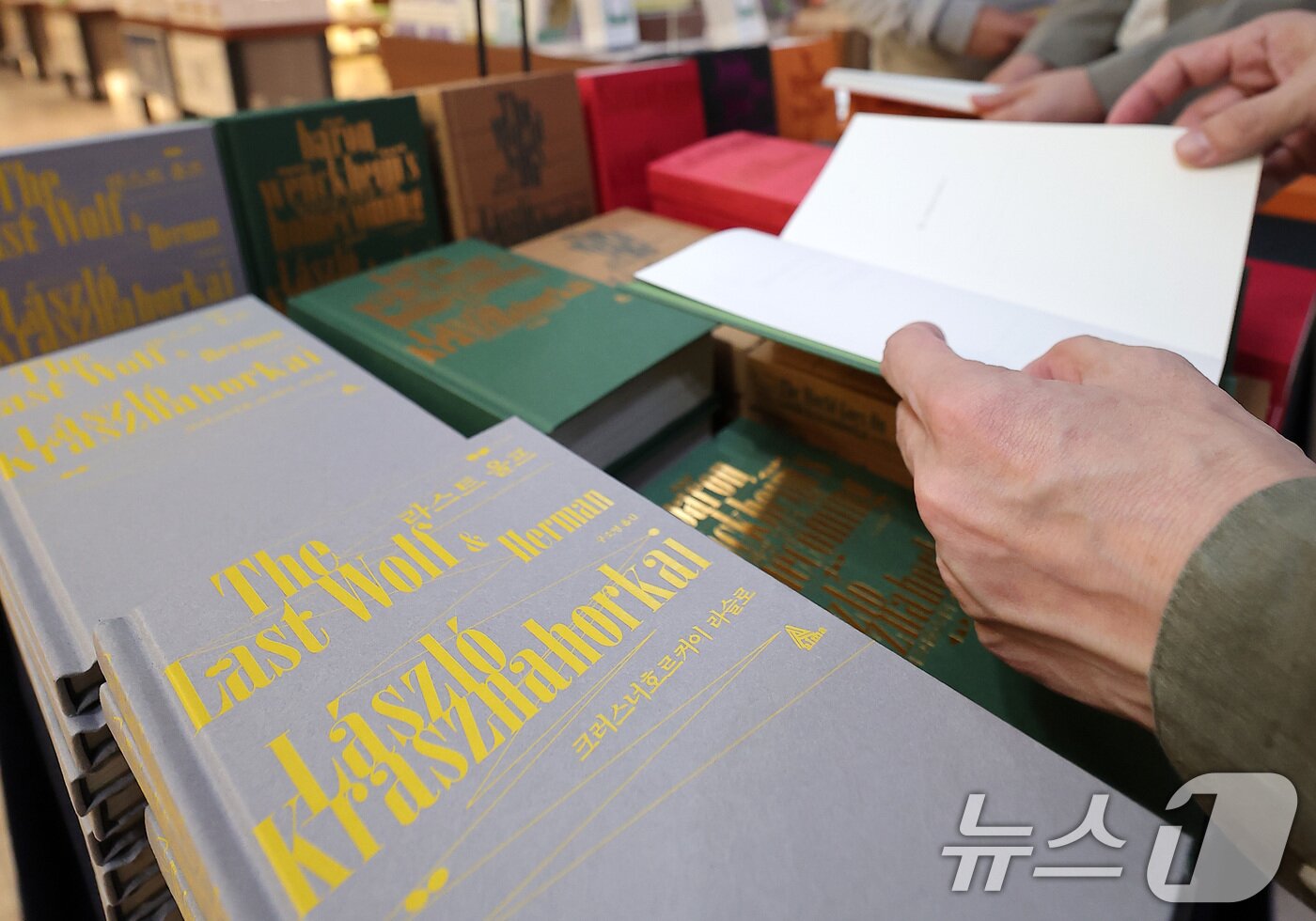 본문 이미지 - 10일 서울 종로구 교보문고 광화문점에 2025년 노벨 문학상을 수상한 헝가리 소설가 크러스너호르커이 라슬로의 도서가 진열돼 있다. 2025.10.10/뉴스1 ⓒ News1 김성진 기자