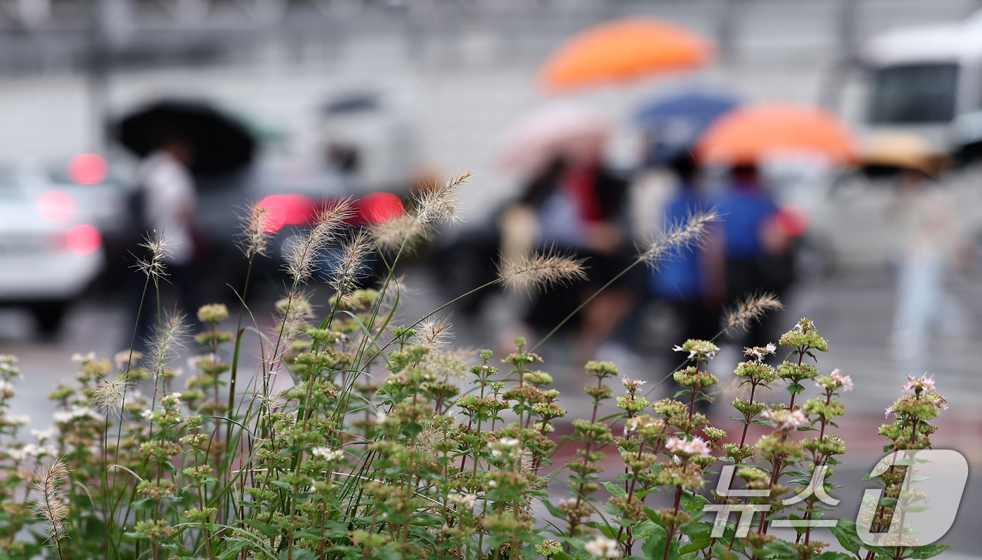 (서울=뉴스1) 김성진 기자 = 추석 연휴가 끝난 10일 서울 종로구 광화문광장에서 시민들이 우산을 쓴 채 발걸음을 옮기고 있다. 2025.10.10/뉴스1