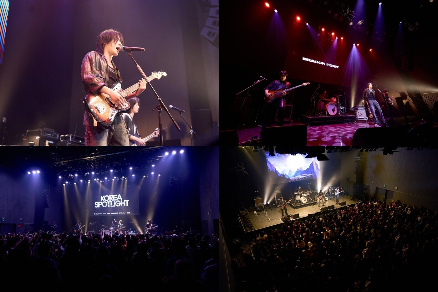 본문 이미지 - 드래곤포니