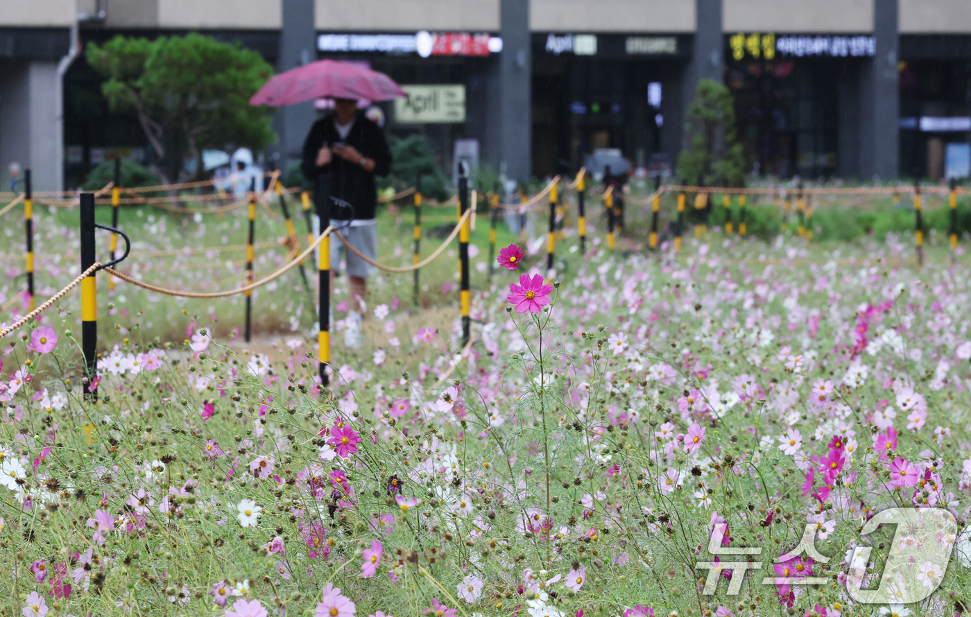 (수원=뉴스1) 김영운 기자 = 수도권 곳곳에 가을비가 내린 10일 경기 수원시 영통구 경기도청 인근에서 시민들이 우산을 쓰고 지나가고 있다. 2025.10.10/뉴스1