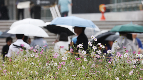 전국 흐리고 남부 중심 비…낮 20도 안팎 '포근'[오늘날씨]