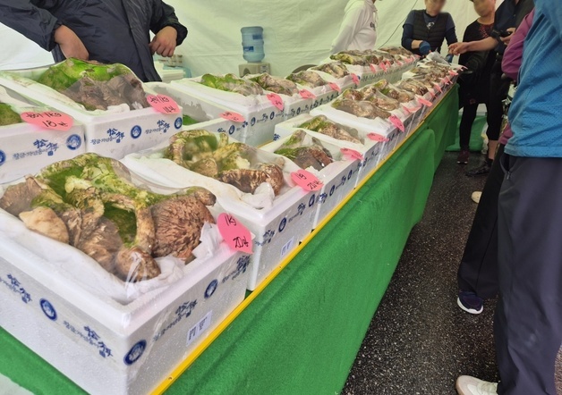 많이 본 뉴스