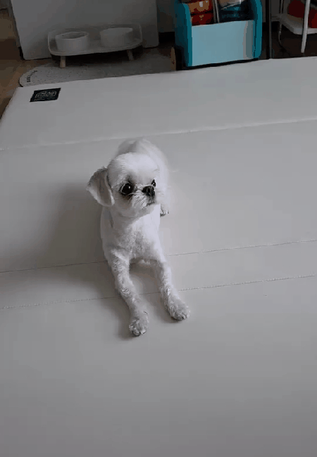  ̹ - ̻ 'ȳϼ' α(νŸ׷ rlfrnfma )  1