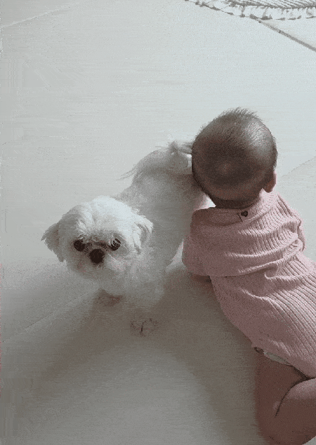  ̹ - ׻ Ʊ  Ű ݷ ̻(νŸ׷ rlfrnfma )  1