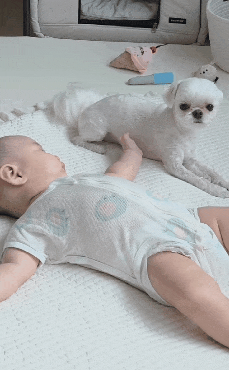  ̹ - ׻ Ʊ  Ű ݷ ̻(νŸ׷ rlfrnfma )  1