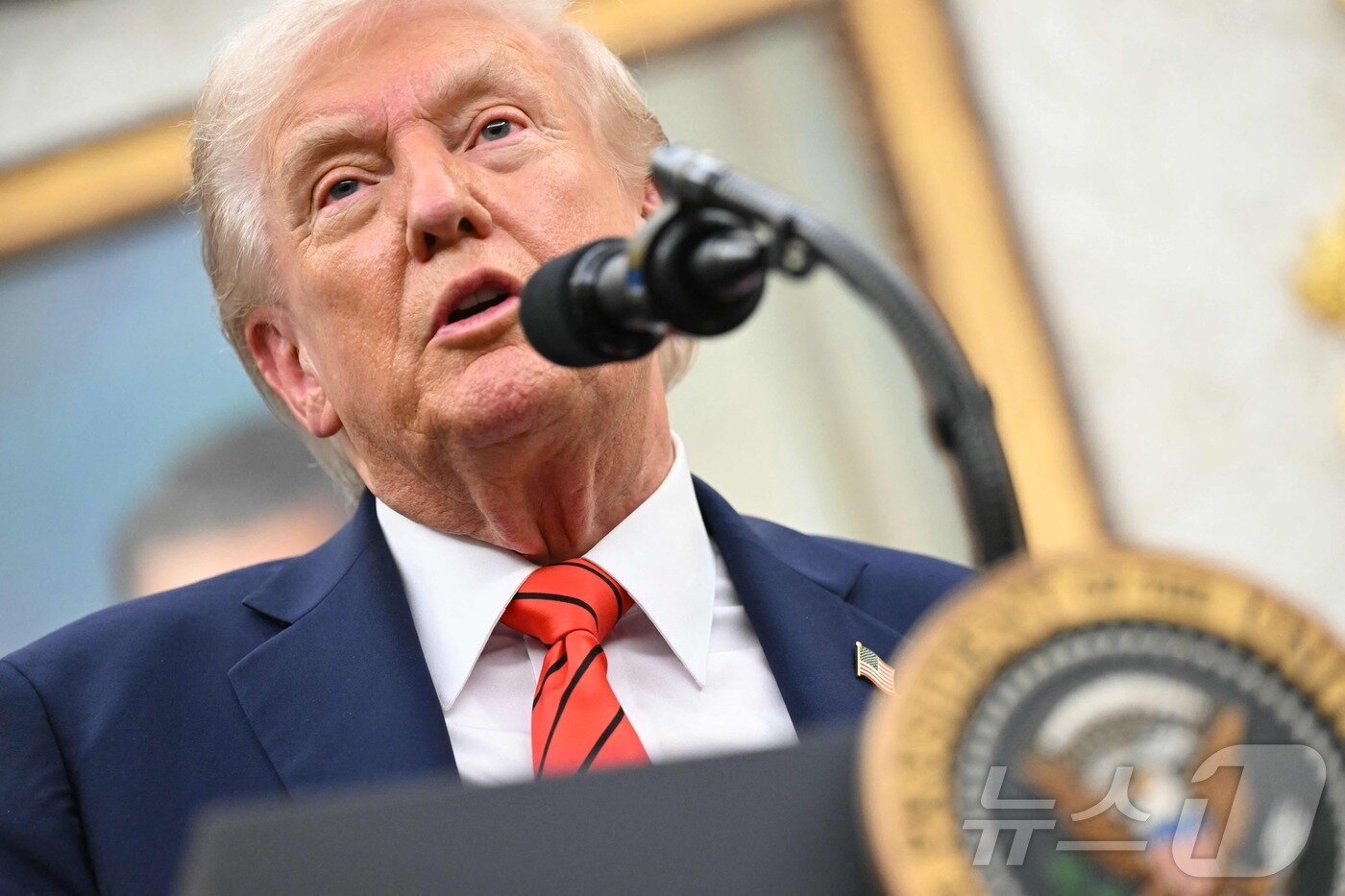 본문 이미지 - 도널드 트럼프 미국 대통령. ⓒ AFP=뉴스1