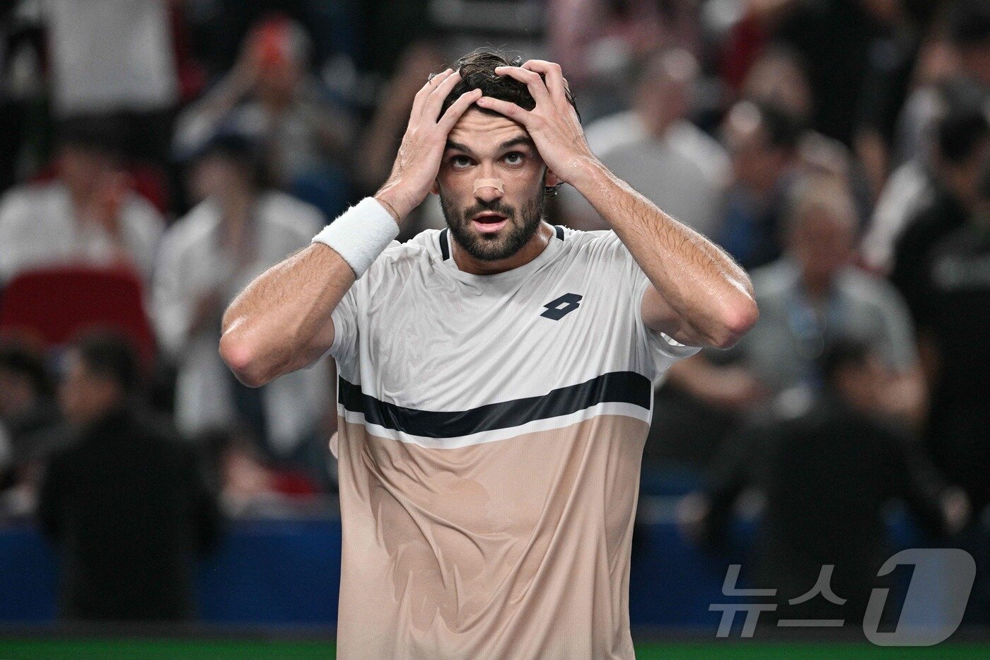 본문 이미지 - 조코비치를 꺾은 바체로.ⓒ AFP=뉴스1