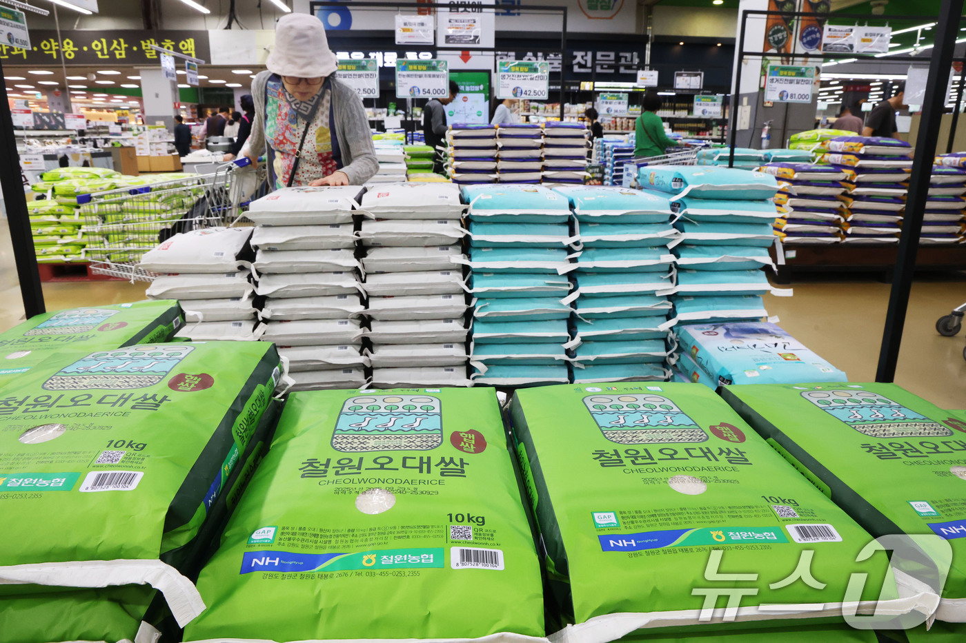 (서울=뉴스1) 이광호 기자 = 쌀값이 급등하고 있는 12일 서울의 한 대형마트를 찾은 시민들이 쌀을 살펴보고 있다.이날 한국농수산식품유통공사(aT) 농산물 유통정보(KAMIS)에 …