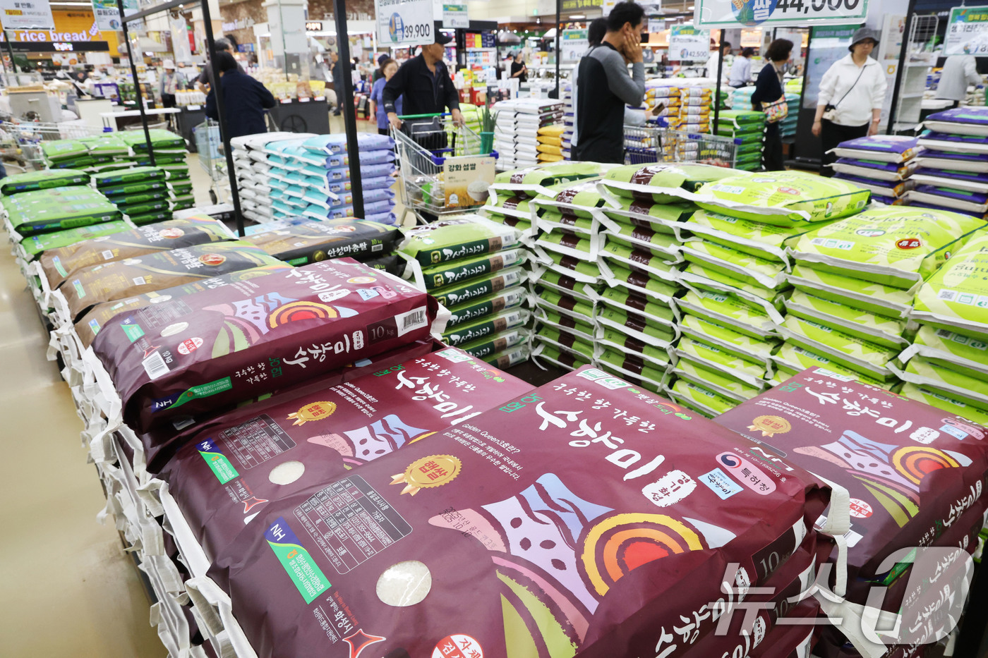 (서울=뉴스1) 이광호 기자 = 쌀값이 급등하고 있는 12일 서울의 한 대형마트를 찾은 시민들이 쌀을 살펴보고 있다.이날 한국농수산식품유통공사(aT) 농산물 유통정보(KAMIS)에 …