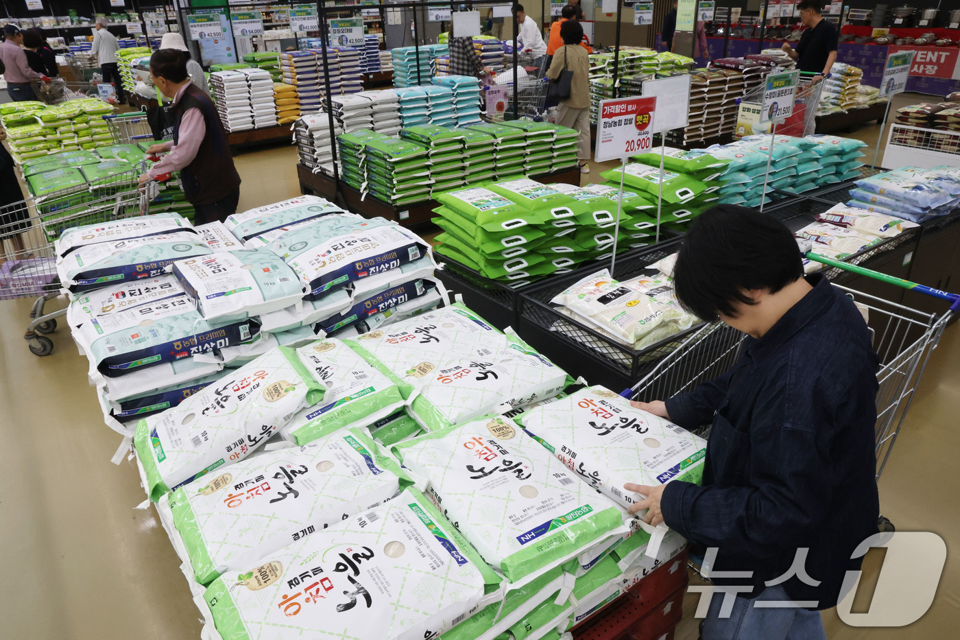 (서울=뉴스1) 이광호 기자 = 쌀값이 급등하고 있는 12일 서울의 한 대형마트를 찾은 시민들이 쌀을 살펴보고 있다.이날 한국농수산식품유통공사(aT) 농산물 유통정보(KAMIS)에 …