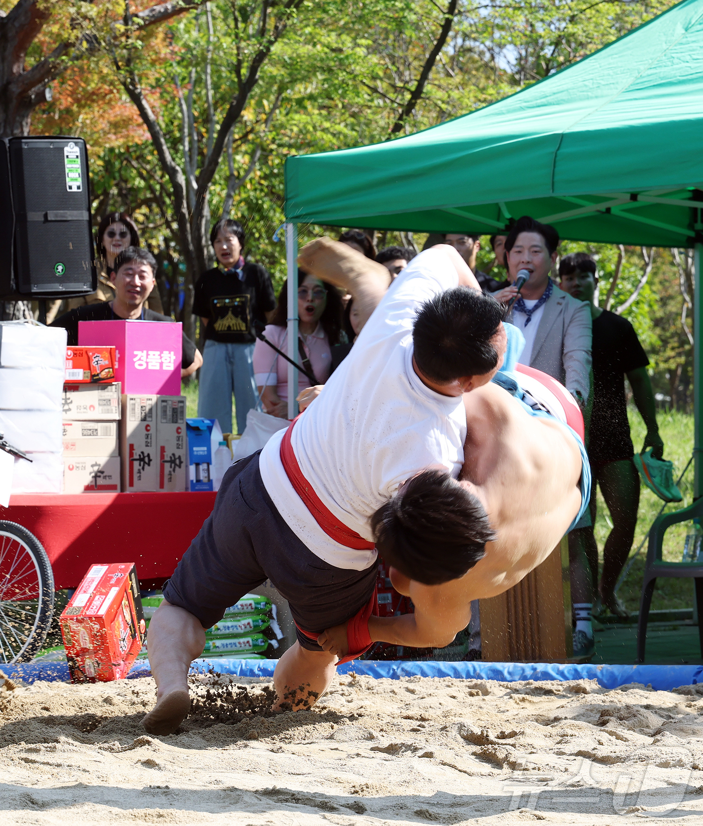 (대전=뉴스1) 김기태 기자 = 서철모 대전 서구청장이 지난 11일 대전 서구 샘머리공원과 보라매공원 일대에서 2025 아트페스티벌 축제 일환으로 열진 서구청장배 생활체육 씨름대회 …