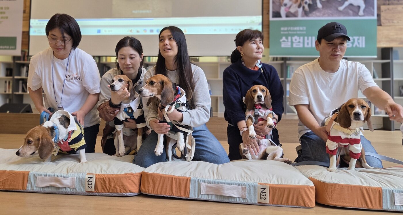 본문 이미지 - 제2회 실험비글 입양제에 가족을 찾기 위해 참석한 비글들. 왼쪽부터 사동, 이열, 십분, 팔멍, 오멍. ⓒ 뉴스1 한송아 기자