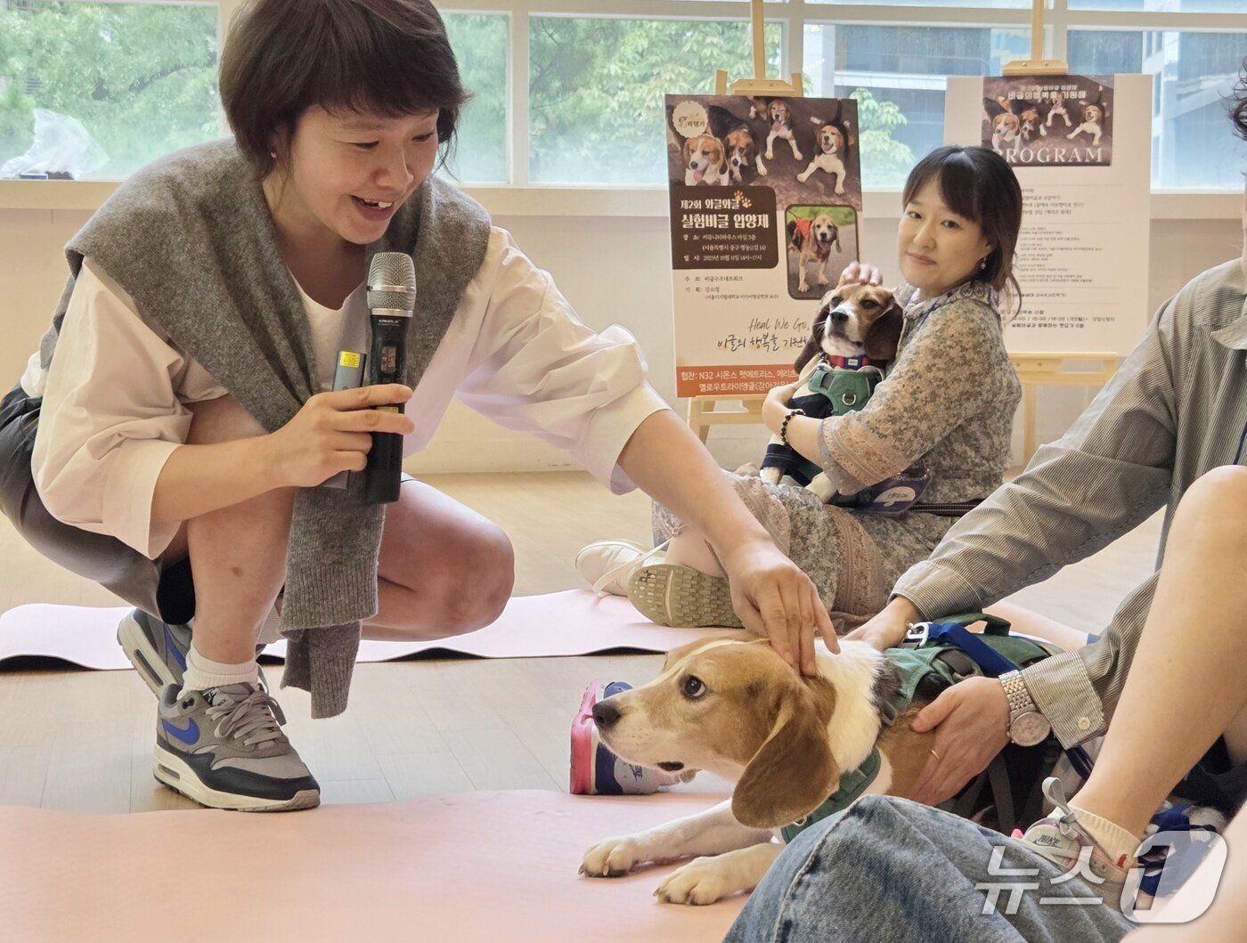 본문 이미지 - 제2회 비글 입양제에서 진행된 펫마사지 강의 모습 ⓒ 뉴스1 한송아 기자