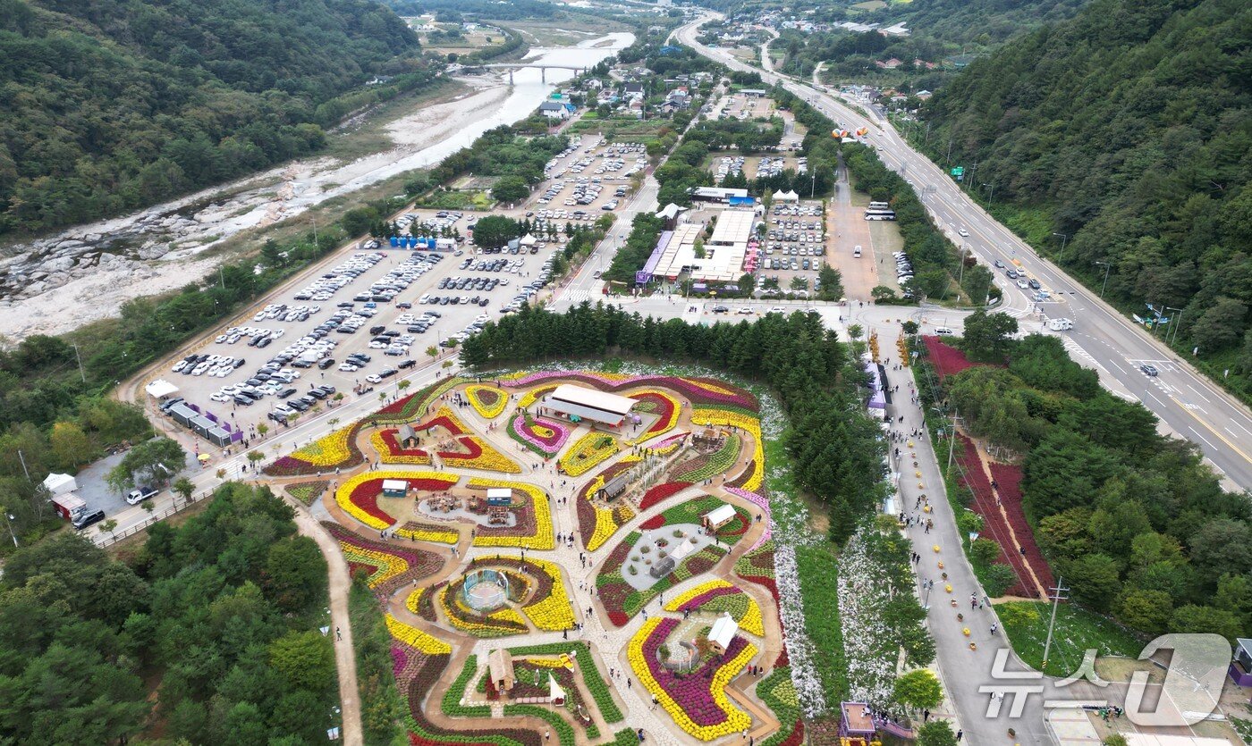 본문 이미지 - 2025 가을꽃 축제.&#40;인제군 제공. 재판매 및 DB금지&#41;/뉴스1