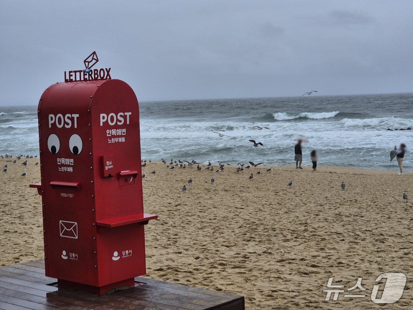 본문 이미지 - 일요일이자 황금연휴 마지막날인 12일 강원 강릉 안목해변을 찾은 가족 관광객이 한산한 해변에서 추억을 쌓고 있다. 2025.10.12/뉴스1 윤왕근 기자