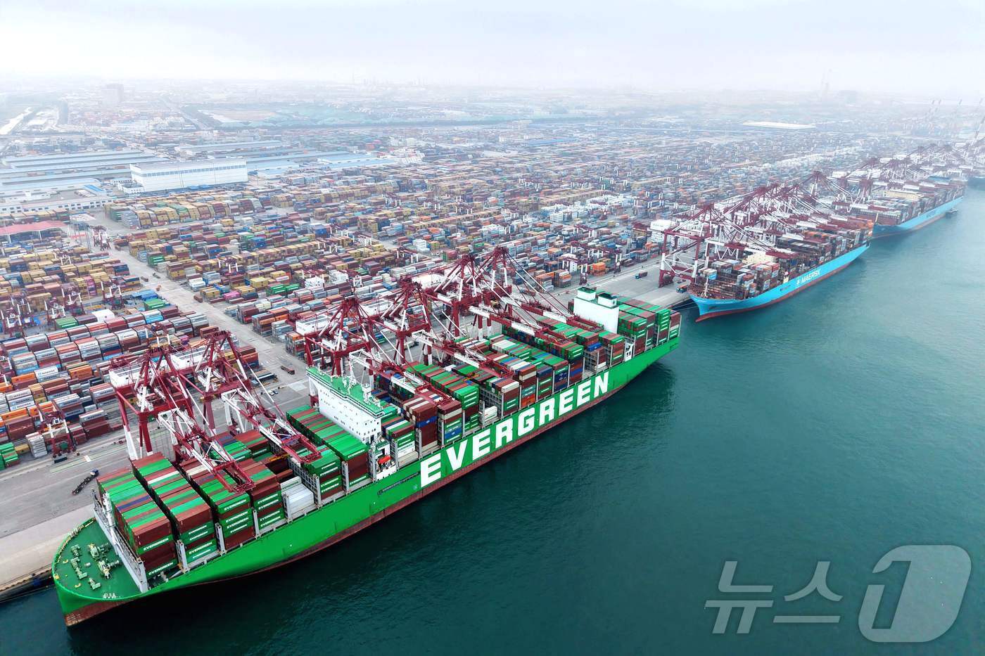 본문 이미지 - 지난 11일 중국 산둥성 칭다오항 컨테이너 터미널에 선박이 정박해 있다. 2025.10.12. ⓒ AFP=뉴스1 ⓒ News1 류정민 특파원