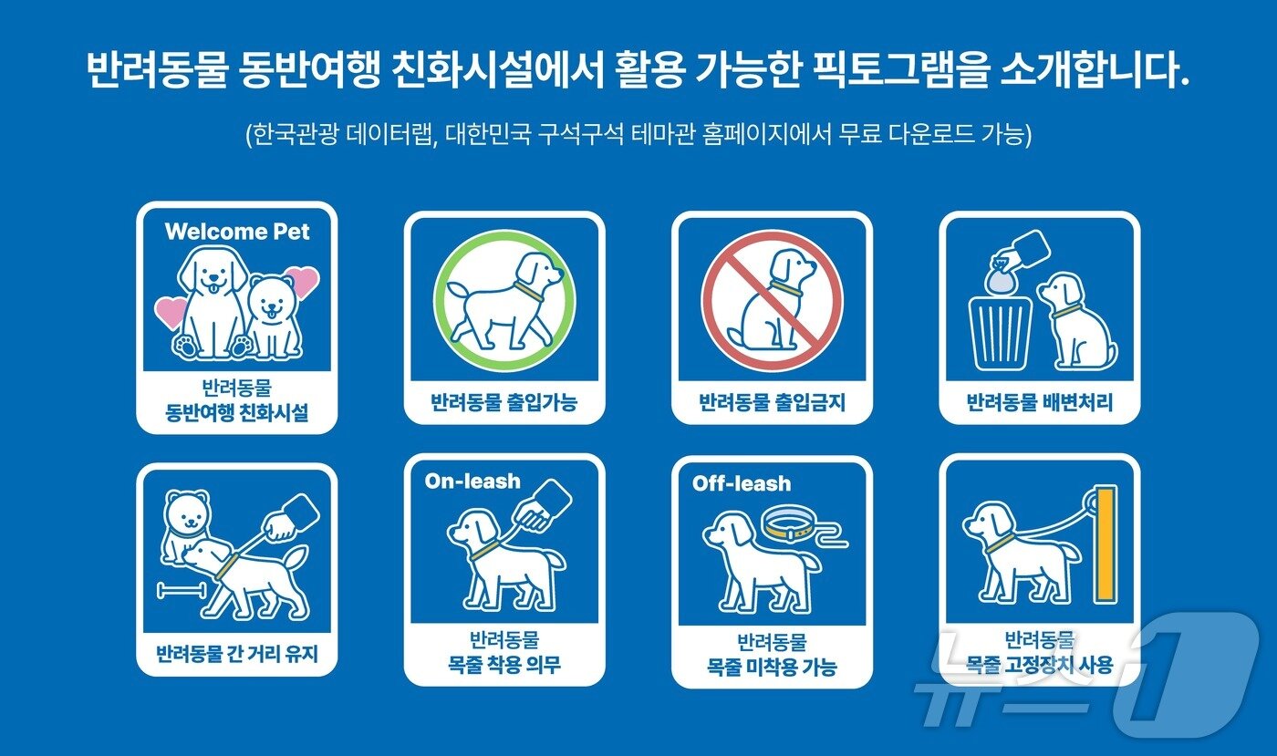 본문 이미지 - 반려동물 가이드라인 인포그래픽&#40;한국관광공사 제공&#41; ⓒ News1 윤슬빈 관광전문기자