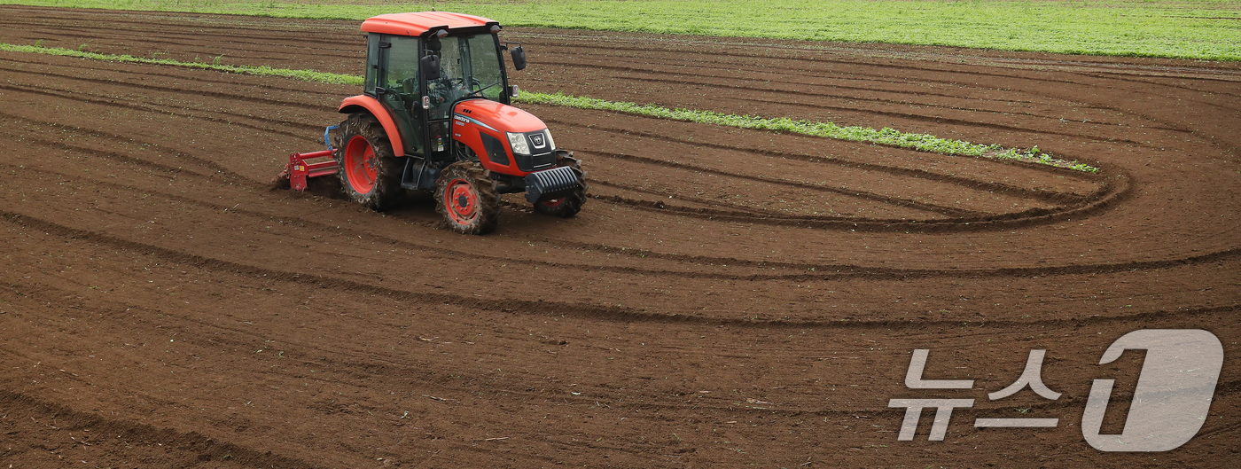 (대구=뉴스1) 공정식 기자 = 13일 오전 대구 동구 숙천동 들녘에서 한 농부가 양파를 심기 위해 트랙터를 이용해 여름내 풀이 자란 밭을 부지런히 갈고 있다. 10월 중순~하순 …