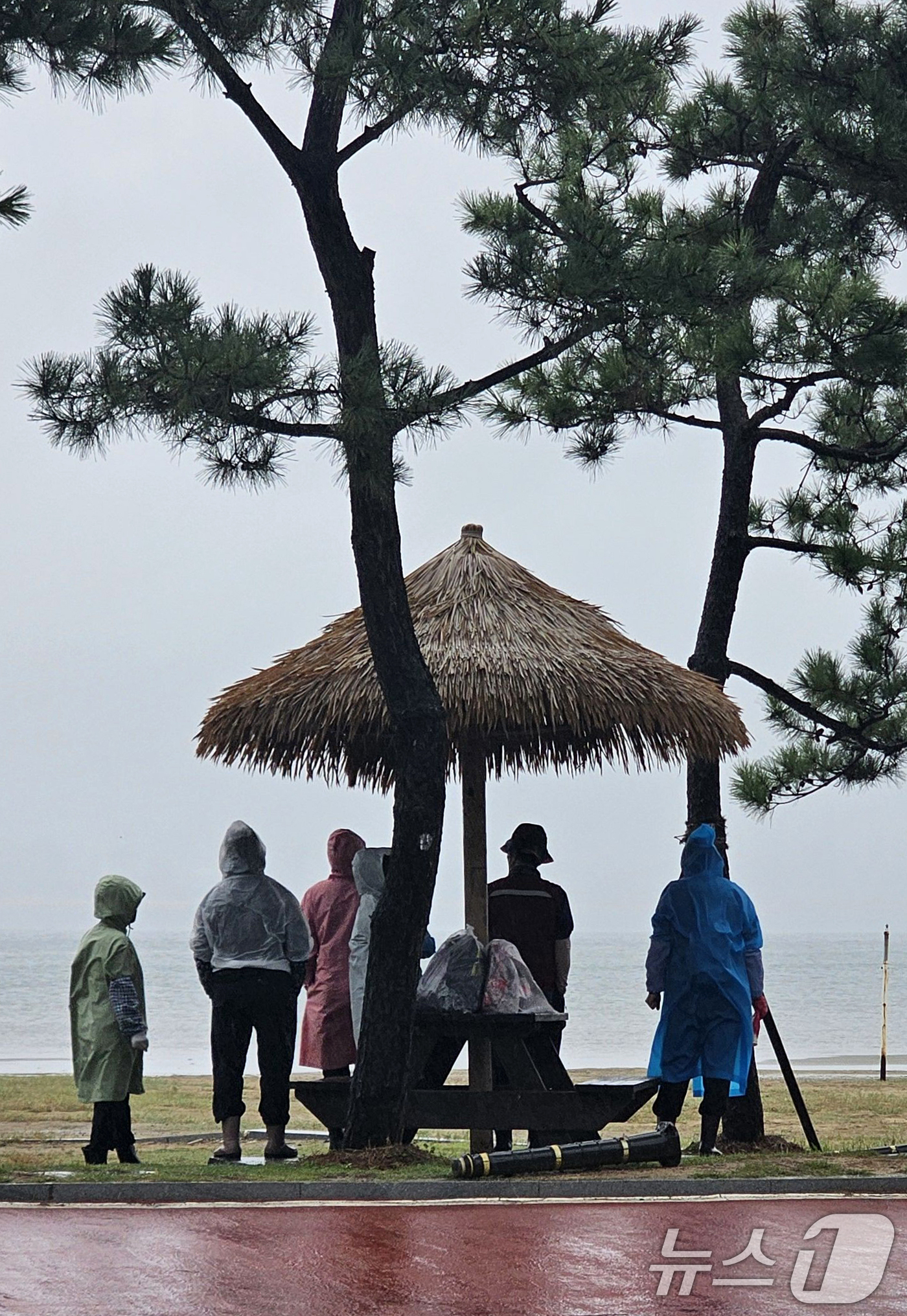 (포항=뉴스1) 최창호 기자 = 13일 경북 포항시 북구 영일대해수욕장 해변에서 시민들이 그늘막 아래에서 비를 피하고 있다. 2025.10.13/뉴스1