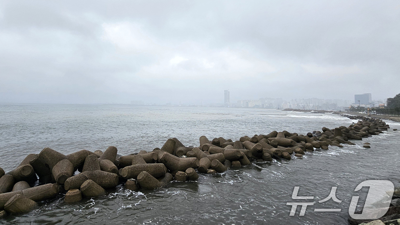 (포항=뉴스1) 최창호 기자 = 13일 경북 포항시 전역에 비가 내리는 가운데 북구 영일대해수욕장 주변이 해무에 덮여있다.  2025.10.13/뉴스1