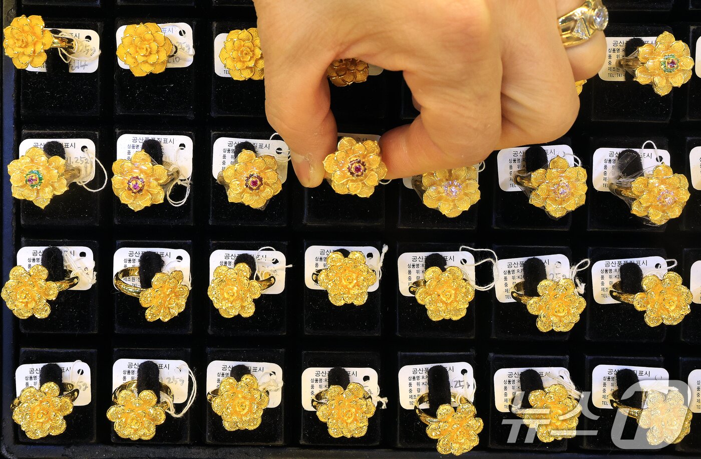본문 이미지 -  서울 종로구 한 금은방에 금 제품이 진열돼  있는 모습. 2025.10.13/뉴스1 DB ⓒ News1 이호윤 기자