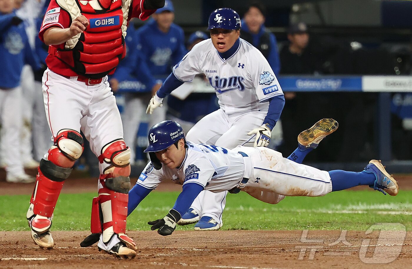 본문 이미지 - 13일 오후 대구 삼성라이온즈파크에서 열린 프로야구 2025 신한 SOL뱅크 KBO 준플레이오프 3차전 SSG 랜더스와 삼성 라이온즈의 경기, 삼성 김지찬이 3회말 2사 1,3루 상황 김성윤의 2루수 앞 내야 안타 때 홈으로 쇄도해 세이프 되고 있다. 2025.10.13/뉴스1 ⓒ News1 김진환 기자