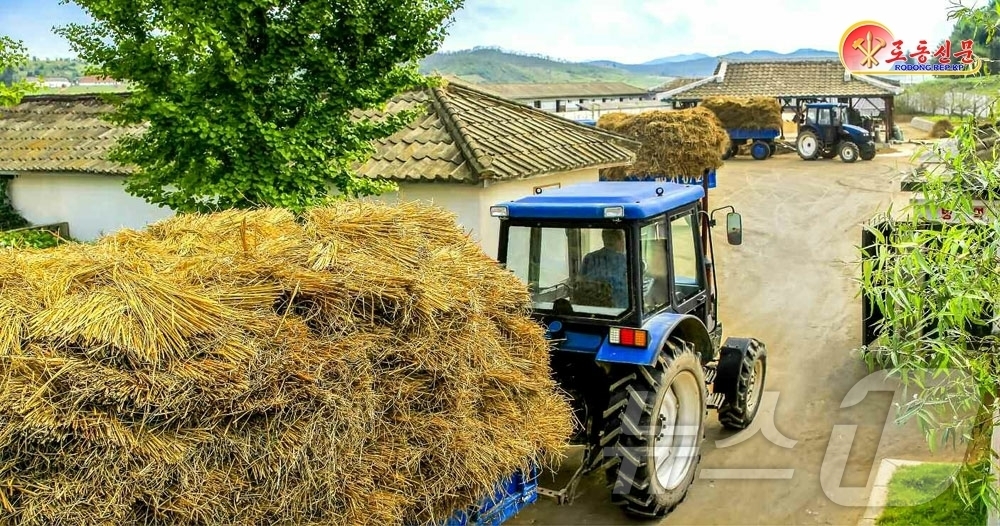 (평양 노동신문=뉴스1) = 북한 노동당 기관지 노동신문은 14일 농업 근로자들에게 "모든 힘을 총집중해 가을철 영농사업을 와닥닥 해제끼자"고 당부했다. [국내에서만 사용가능. 재 …
