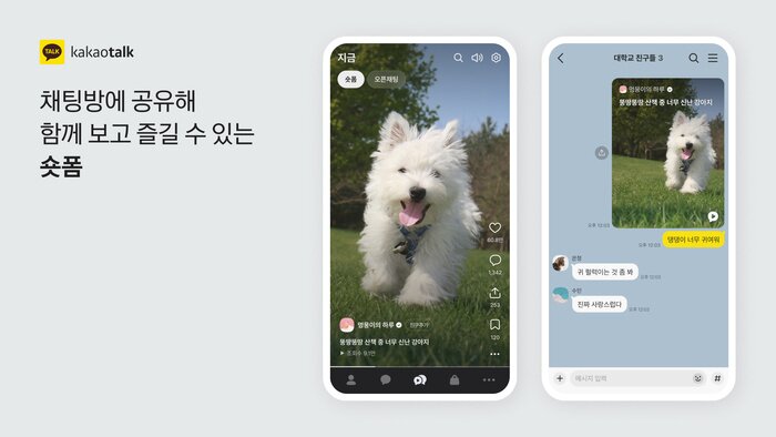 본문 이미지 - 카카오톡 내 &#39;숏폼&#39; 탭 &#40;카카오 제공&#41;