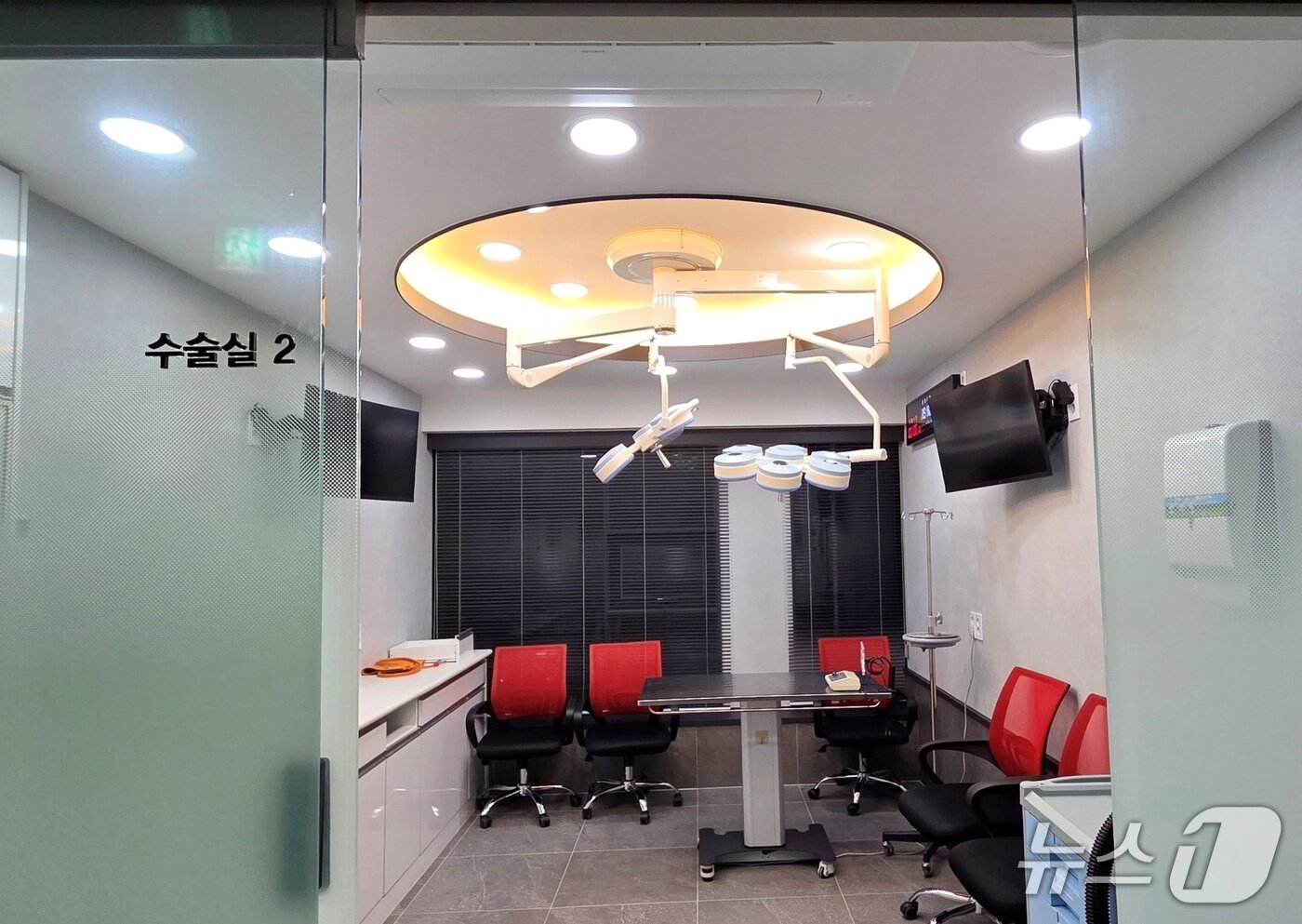 본문 이미지 - 연수동물메디컬센터 내부 ⓒ 뉴스1